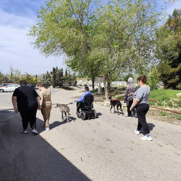 💚Paseos con el Centro Sociosanitario La Morenica 🐾💚