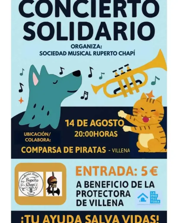 🎶Concierto Solidario🎶